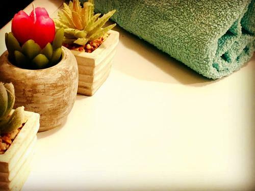 Apartamento Aldo Flat