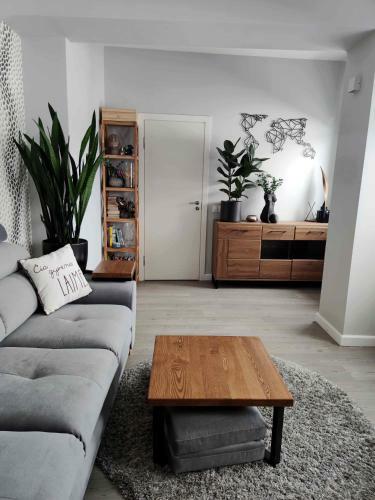 Liep? Apartamentai Centre