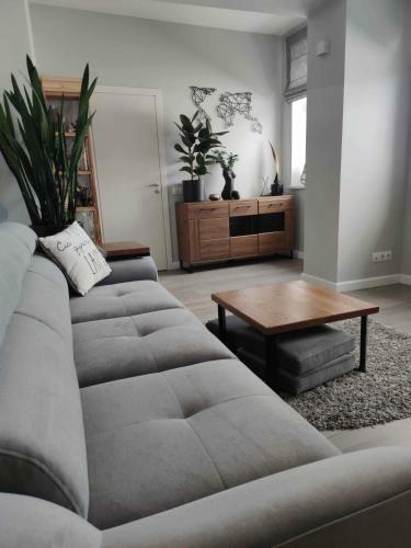Liep? Apartamentai Centre