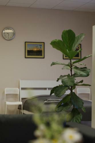 Vasaros Apartamentai Rueda