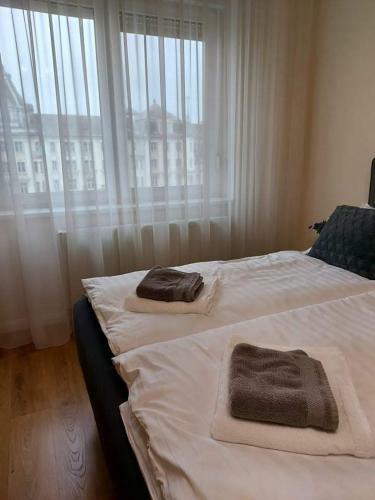 Alf�ldi Palace Apartman