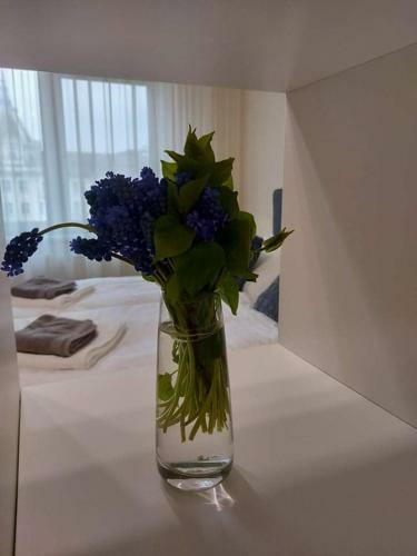 Alf�ldi Palace Apartman