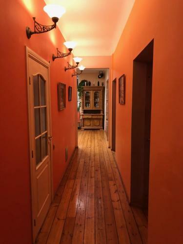Classical Large Apartment On Alberta Street