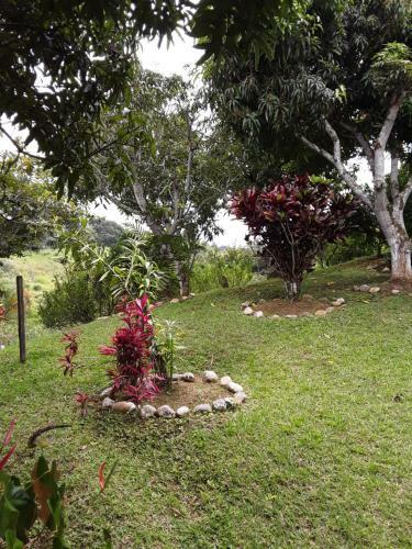 Finca Bosque Real