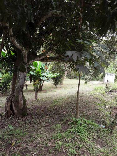 Finca Bosque Real