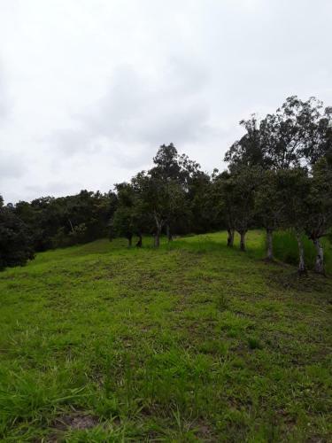 Finca Bosque Real