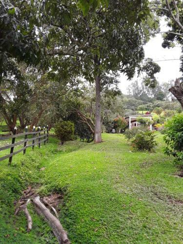 Finca Bosque Real