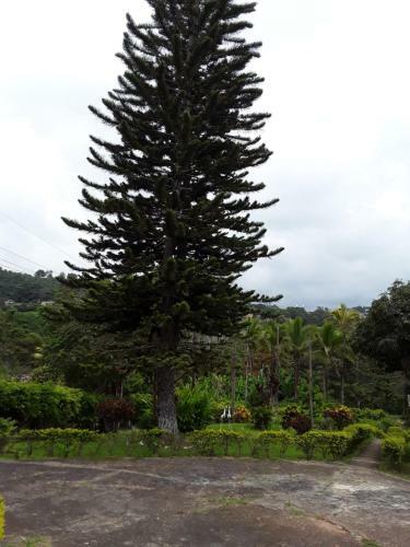 Finca Bosque Real