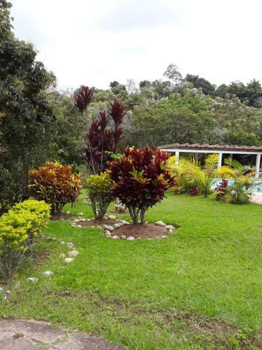 Finca Bosque Real