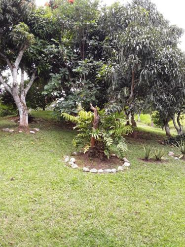 Finca Bosque Real