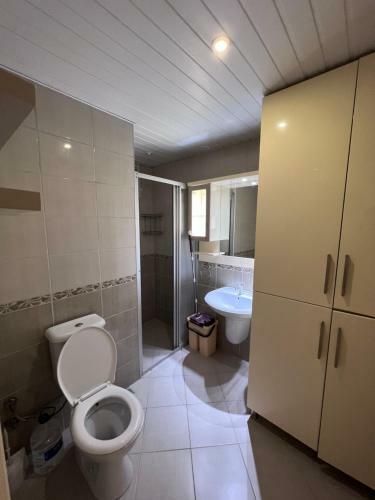 Apartamento Luxury 2+1 With Pool And Bbq
