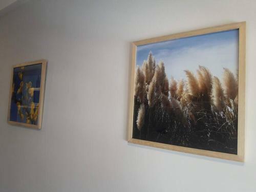 Apartamento Departamento En La Costa Marplatense