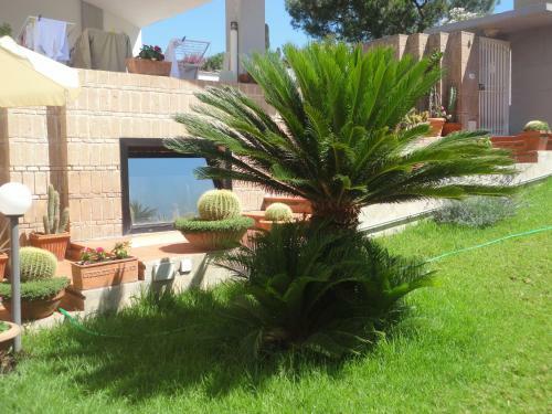 Bed & Breakfast Acquamarina