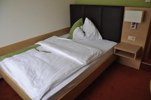 Hostal Triebenerhof