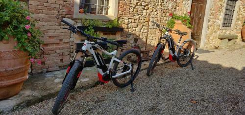 Agroturismo Fattoria La Loggia