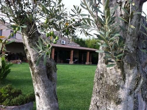 Agroturismo Agriturismo Il Giglio