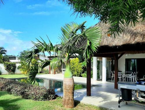 Pool Villa Surrounded By Tropical Greenery