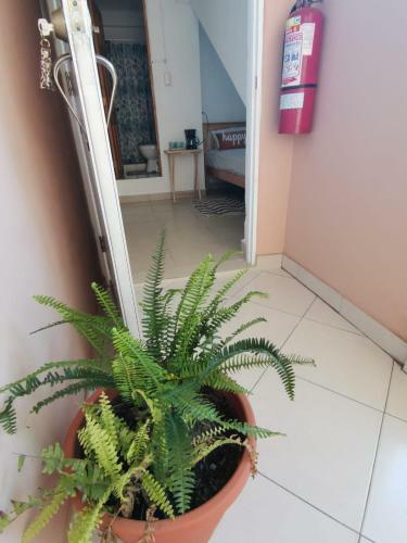 Apartamento Lovely 1 Bedroom Studio In Panama City