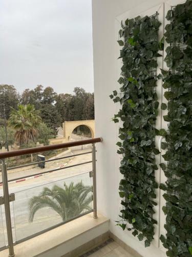 Apartamento Appartement Mariem