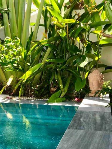 Entire Two-bedroom Pool Villa. Hidden Gem In Hoian