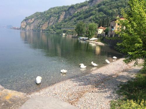 B&B - Foresteria - Frontelago Lake Como
