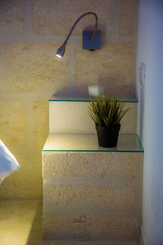 Apartamento Casa Manfredi