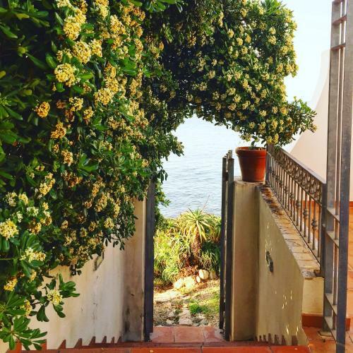 Bed & Breakfast Villa Grachira