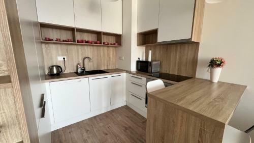2 Room Apartment With Terrace, Prievozska Street