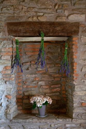 Agroturismo Allegro Agriturismo Argiano