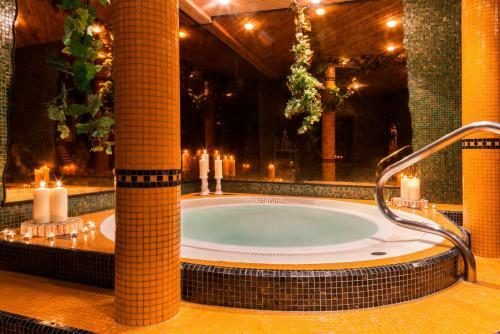 Hotel Chalet Olympia
