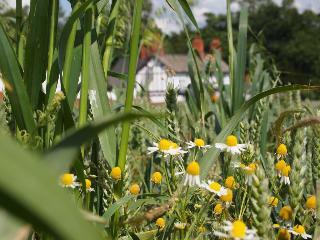 Donington Park Farmhouse Hotel