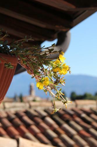Bed & Breakfast Il Melograno