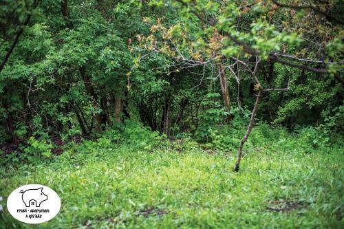 Frupi Apartman - A Kis H�z