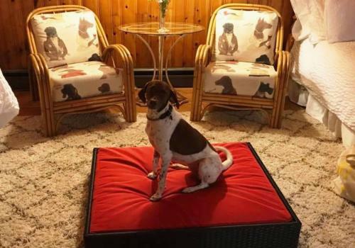 Fundy Heights B&B