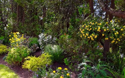 Fundy Heights B&B