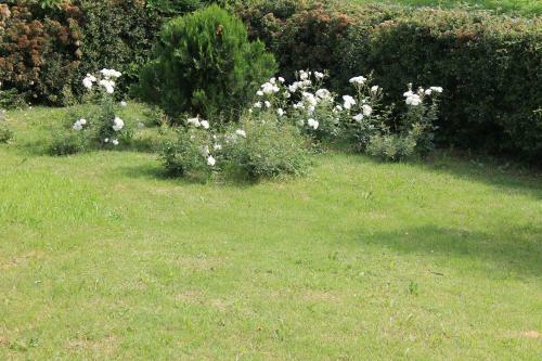 B&B Al Glicine