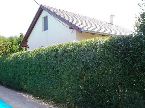 Kinga House