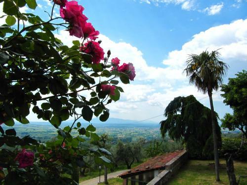 Agroturismo Agriturismo La Gioconda
