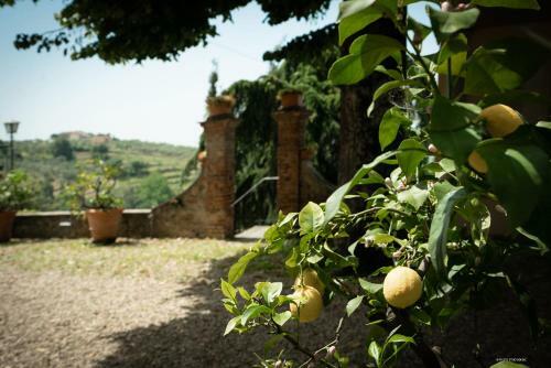 Agroturismo Agriturismo La Gioconda