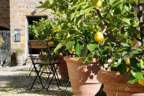 Agroturismo Agriturismo La Gioconda