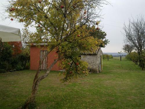 B&B Terre Di Bea