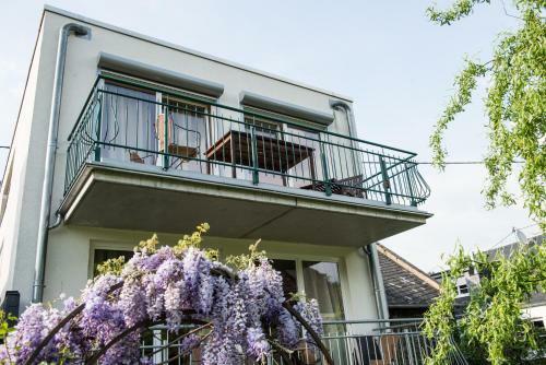 Apartamento Ferienresidenz Brauneberger Hof