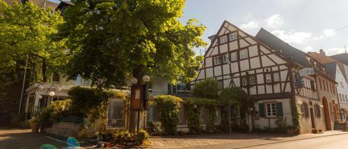 Apartamento Ferienresidenz Brauneberger Hof