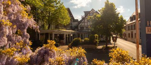 Apartamento Ferienresidenz Brauneberger Hof