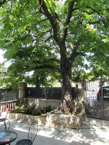 Apartman Romeo