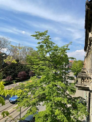 Apartament Oradea Ultracentral Republicii 47