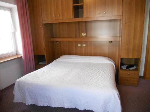 Hotel Albergo Alpino