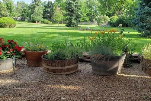 Best Backyard In Denver