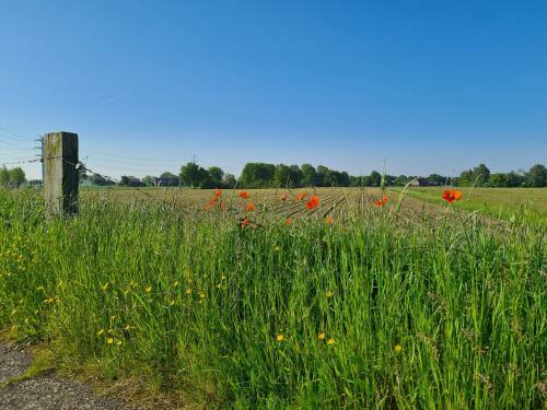 Tiny House In De Achterhoek