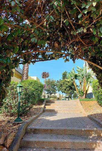 Maravilha Em Lagos - Luxury Holidays Apartment